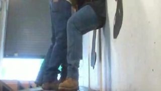 Mature bears in garage bone